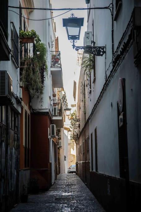 Apartament Imperial Center Seville New Management Since April エクステリア 写真